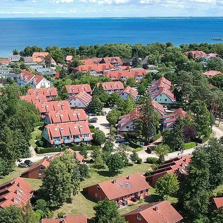 Papillon 18-8 * بولتينهاجين