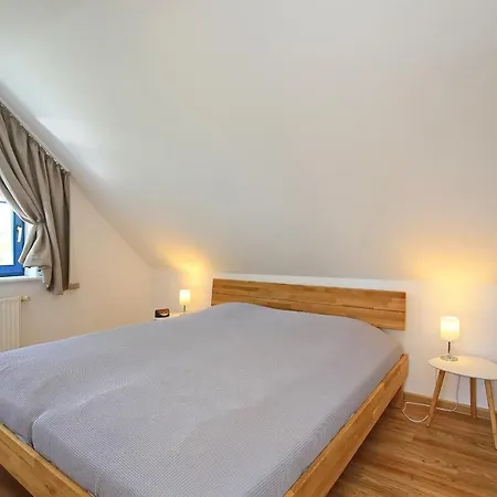 Papillon 18-8 بولتينهاجين