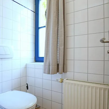 Papillon 18-8 * بولتينهاجين